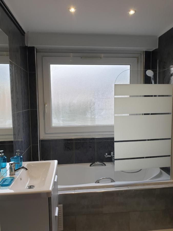 Appartement La Roseraie Proche Centre/Gare Metz Dış mekan fotoğraf